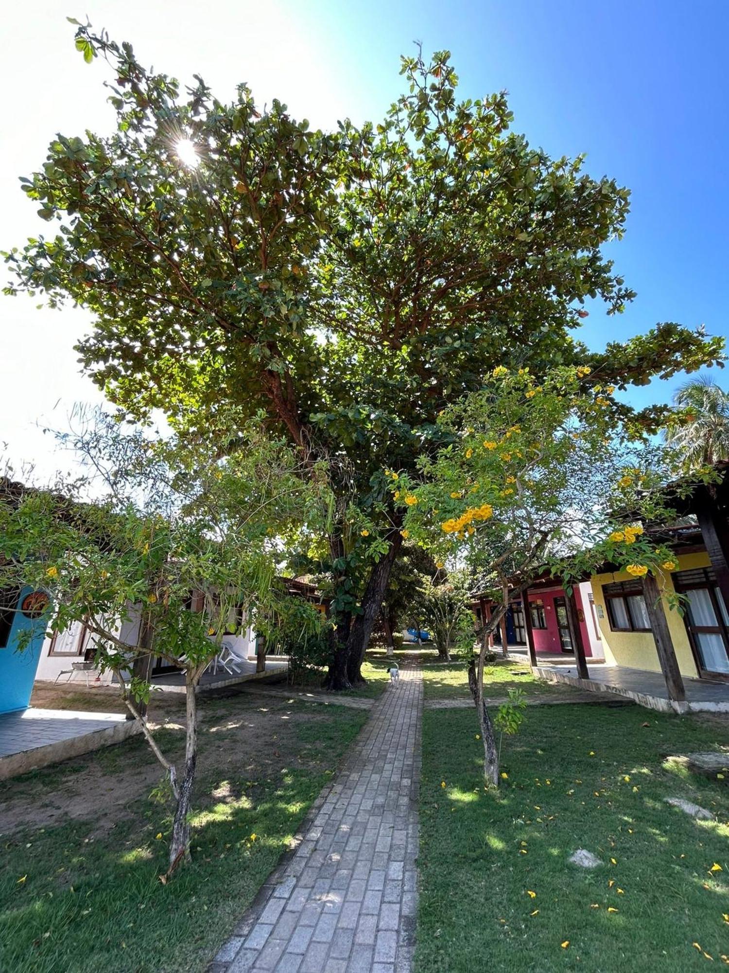 Chales Praias Brasileiras Maragogi Exterior foto