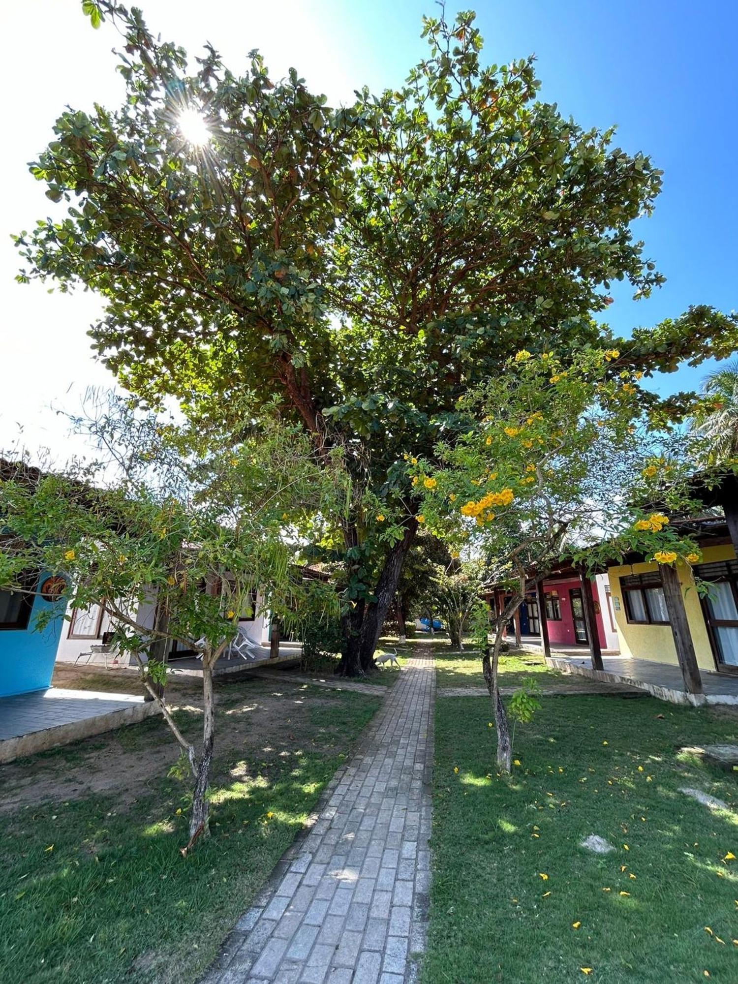 Chales Praias Brasileiras Maragogi Exterior foto